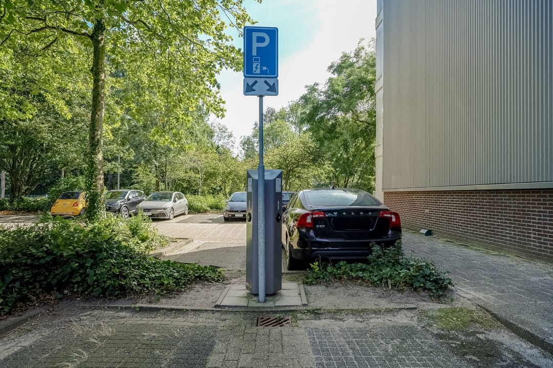 Foto 41 van De Roerdomp 101