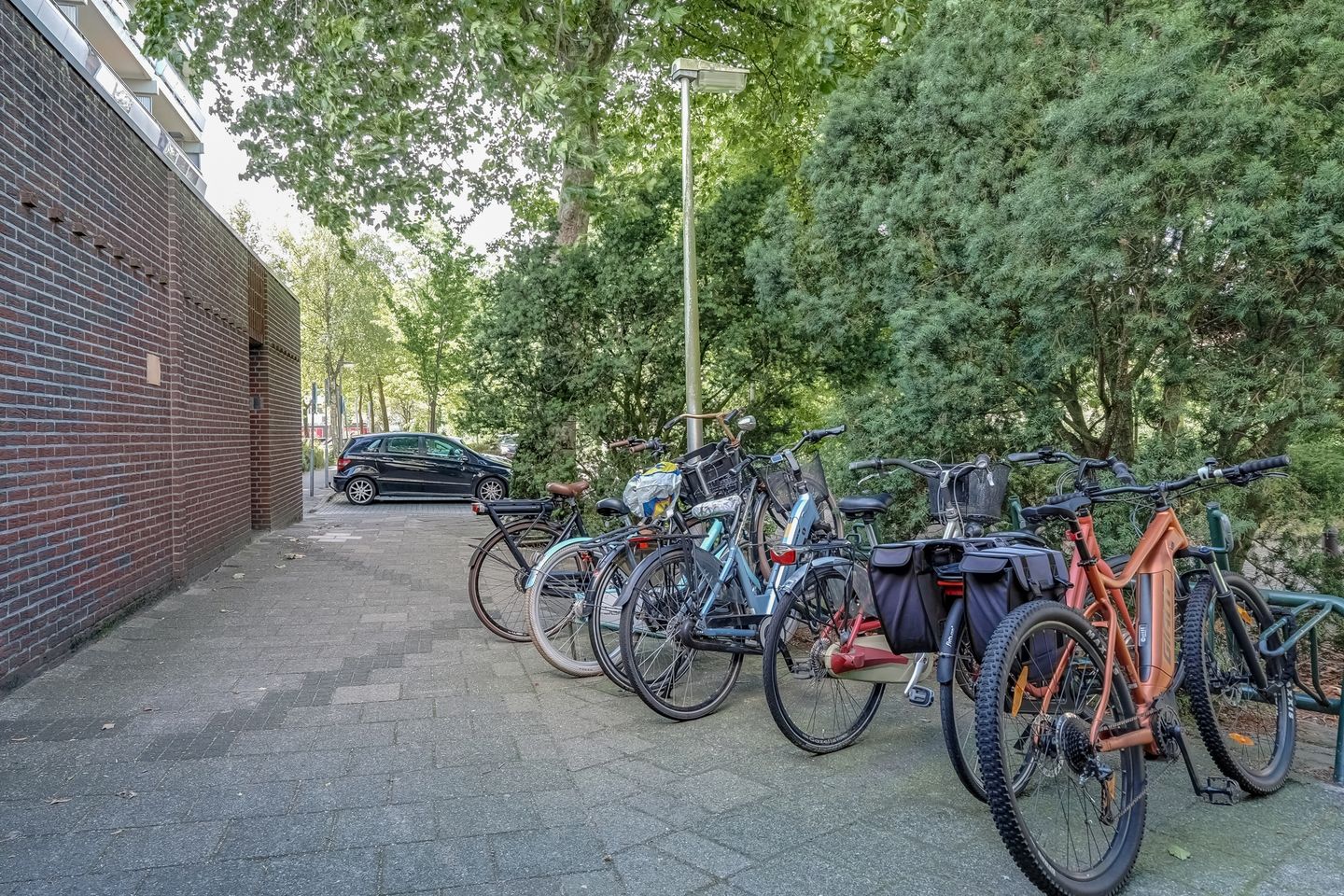 Foto 10 van De Roerdomp 101