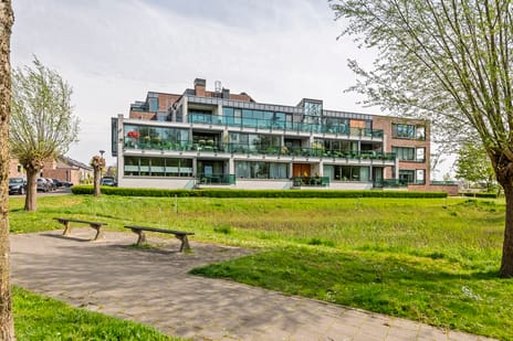 Burgemeester Hommesstraat thumbnail
