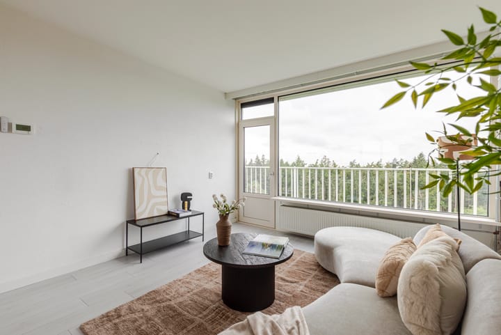 Appartement te koop: Anna Paulownalaan 187, Zeist