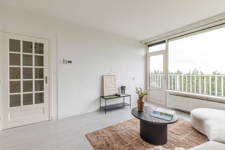 Appartement te koop: Anna Paulownalaan 187, Zeist