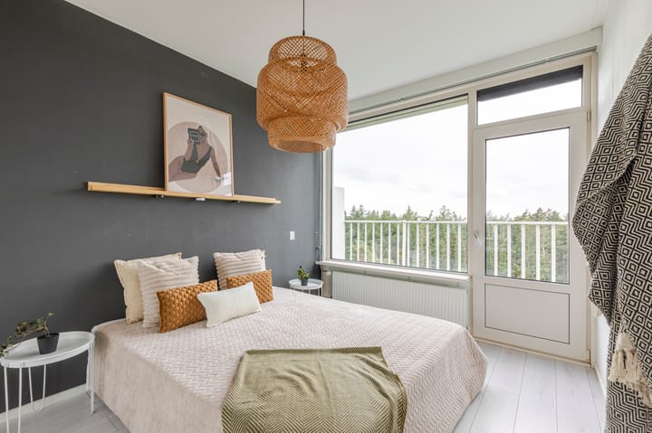 Appartement te koop: Anna Paulownalaan 187, Zeist