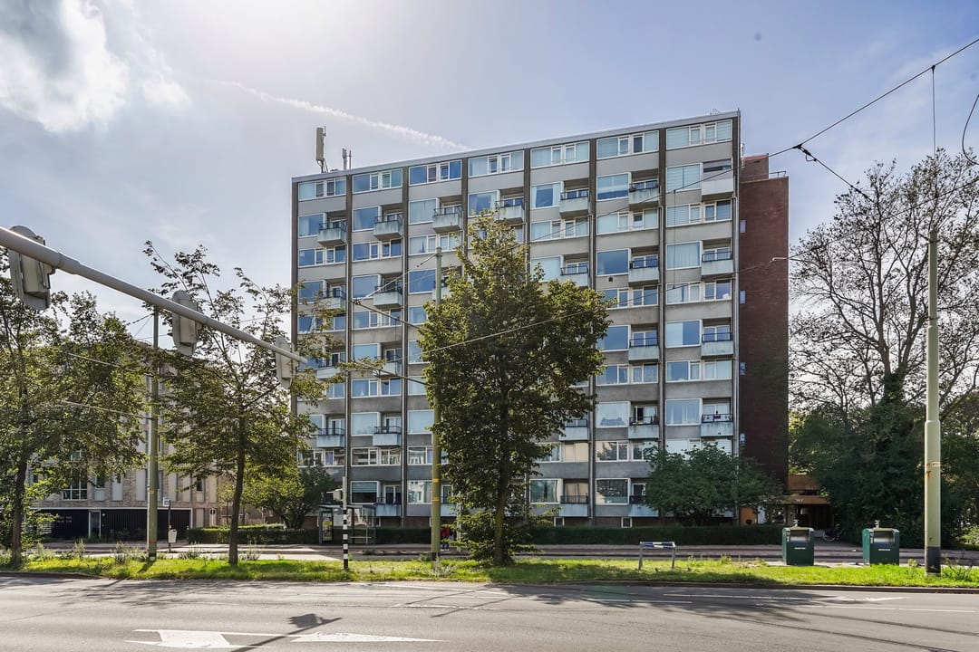 Foto 1 van Loevesteinlaan 895-A