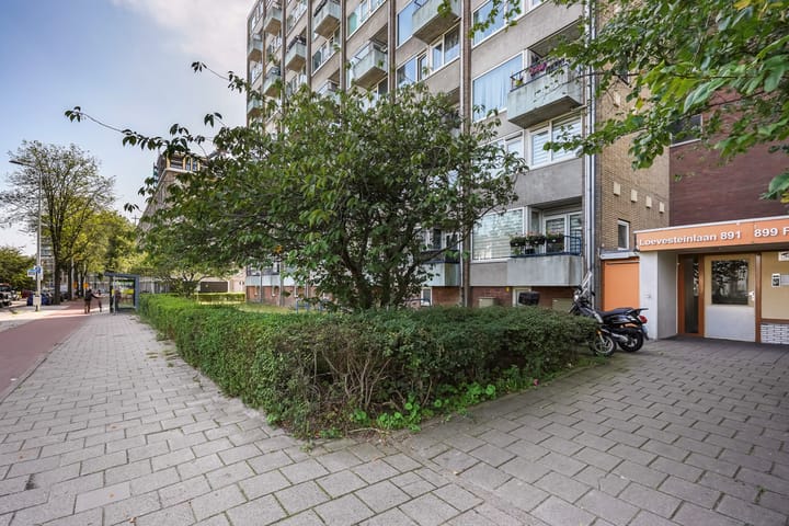 Foto 3 van Loevesteinlaan 895-A