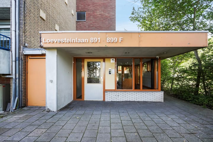 Foto 2 van Loevesteinlaan 895-A