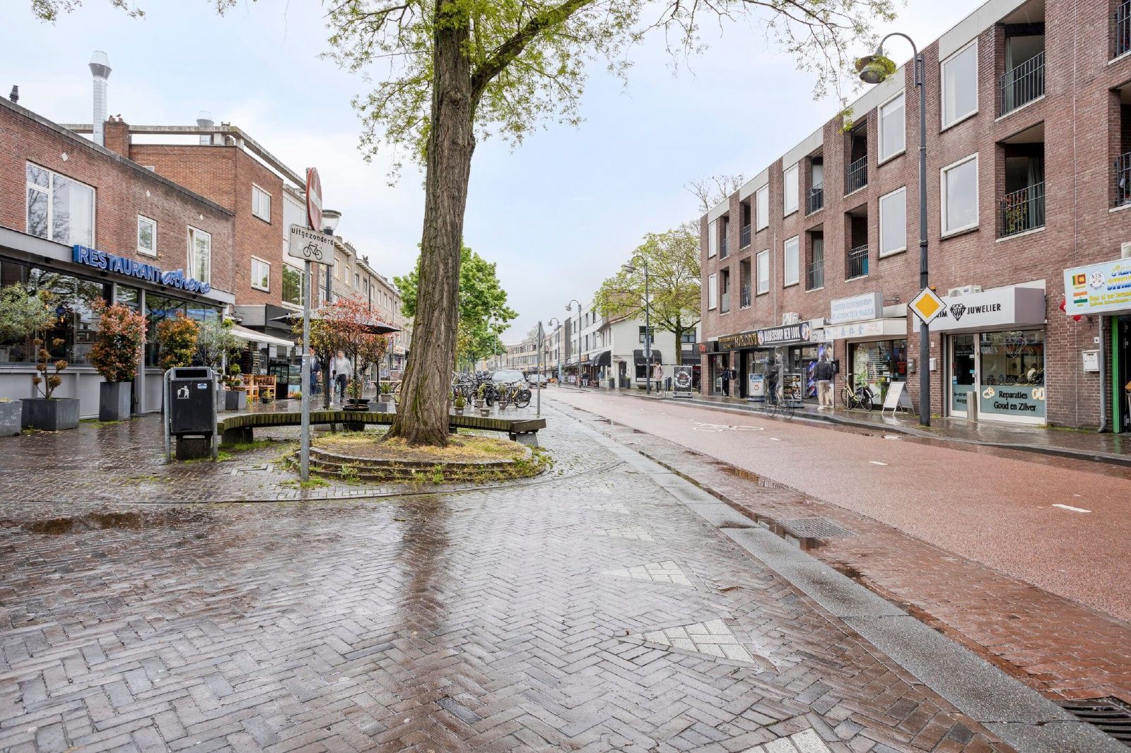 Foto 30 van de Vriesstraat 55