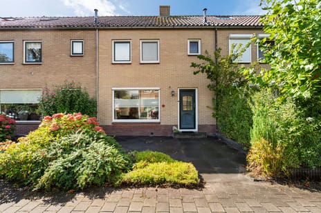 Van Renesseweg thumbnail