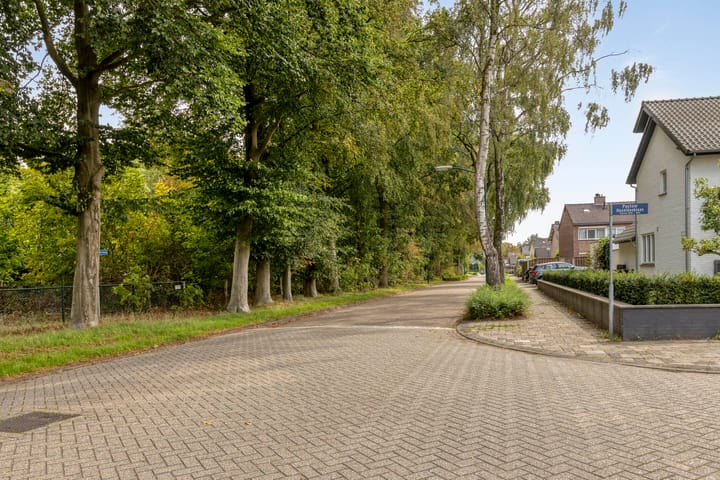 Foto 5 van Pastoor Haseldonklaan 16