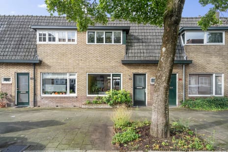 Hermannus Elconiusstraat thumbnail