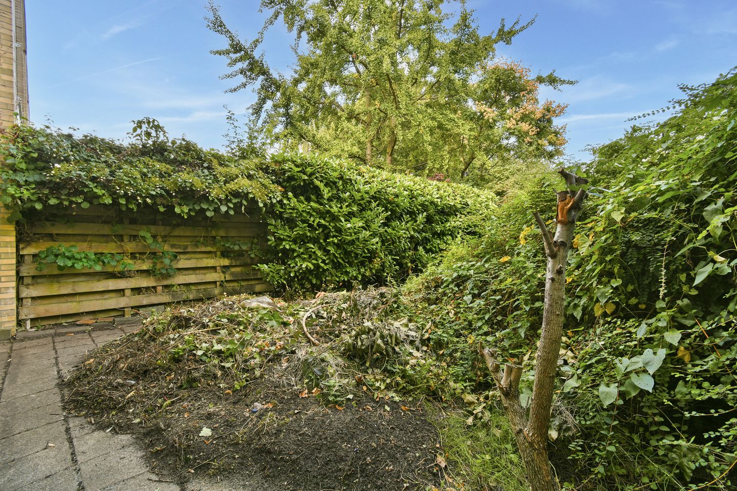 Foto 10 van Voor de Poort 6