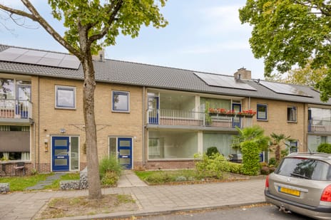 Obrechtstraat thumbnail