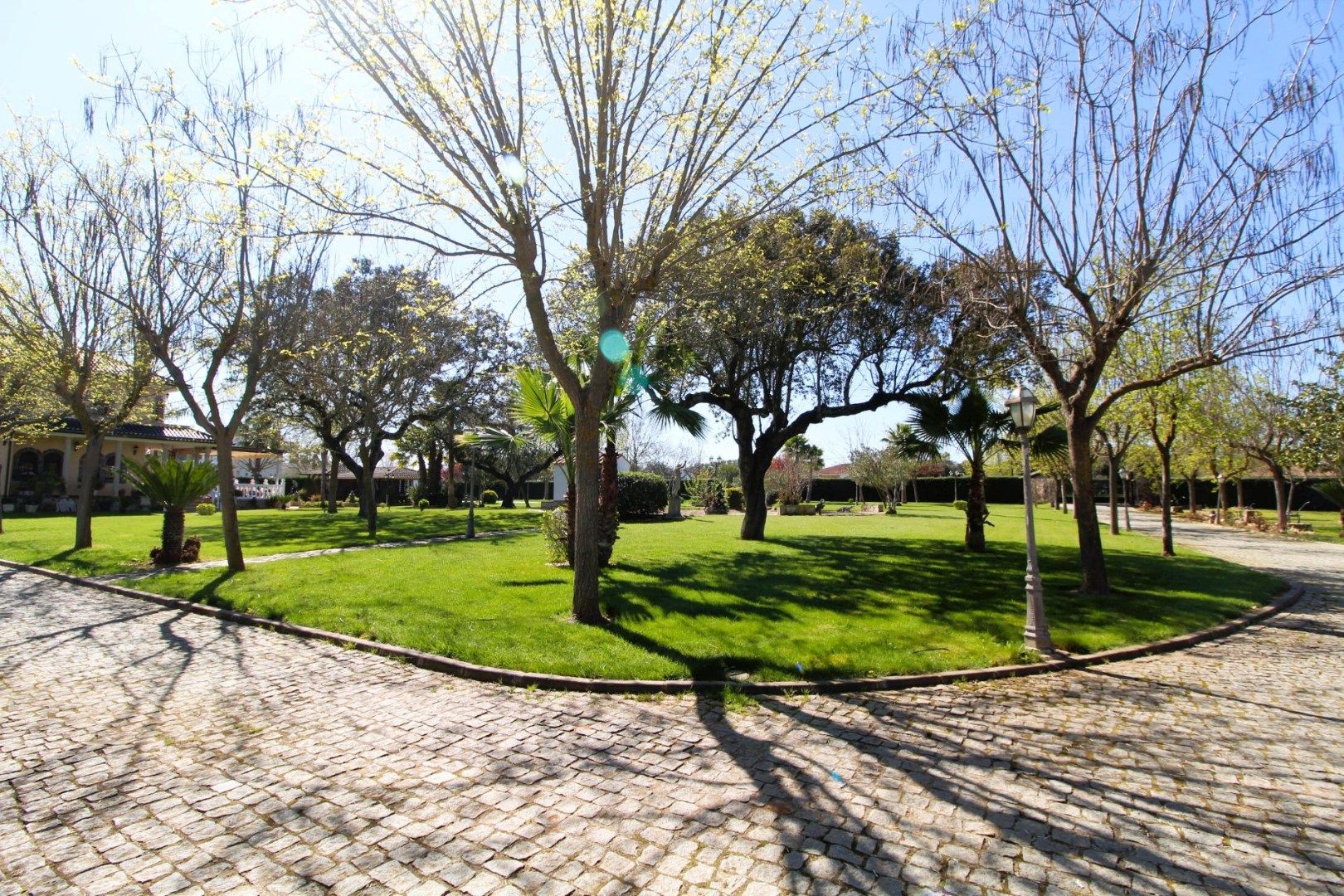 Foto 48 van C. de Sirio 13