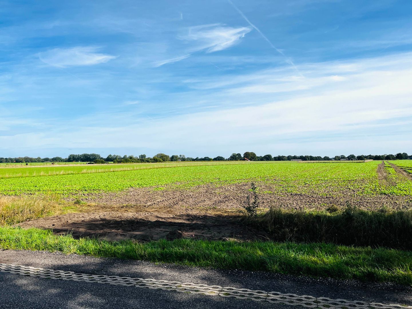Foto 4 van De Kampen ong.