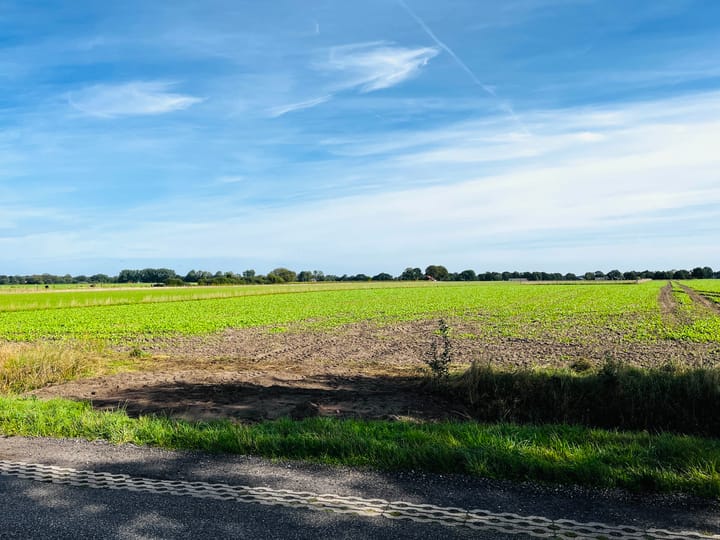Foto 4 van De Kampen ong.
