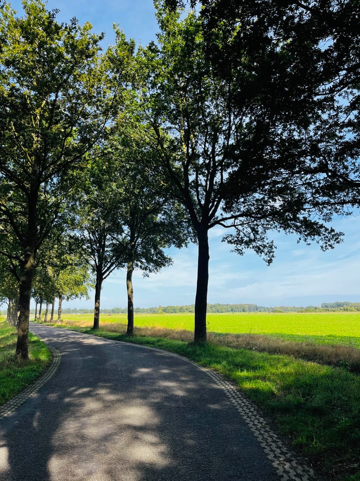 Foto 2 van De Kampen ong.