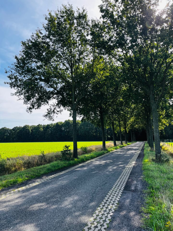 Foto 5 van De Kampen ong.