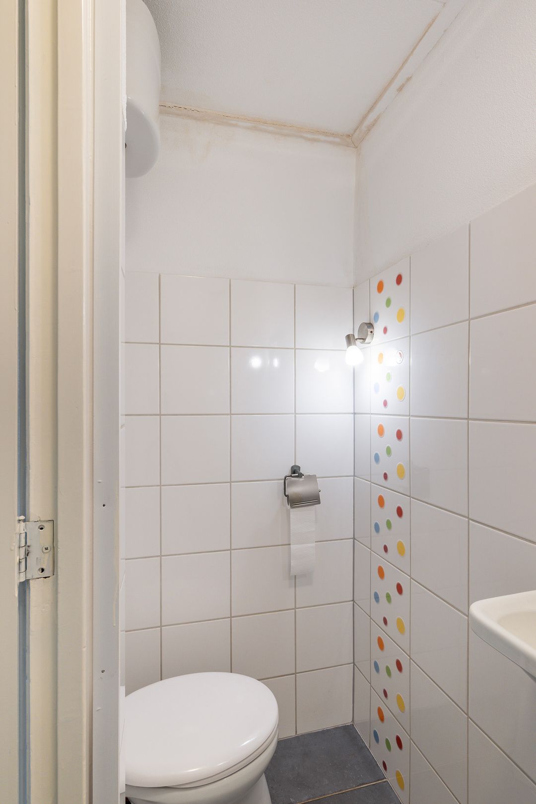 Photo 8 of Burgemeester Pruissingel 107