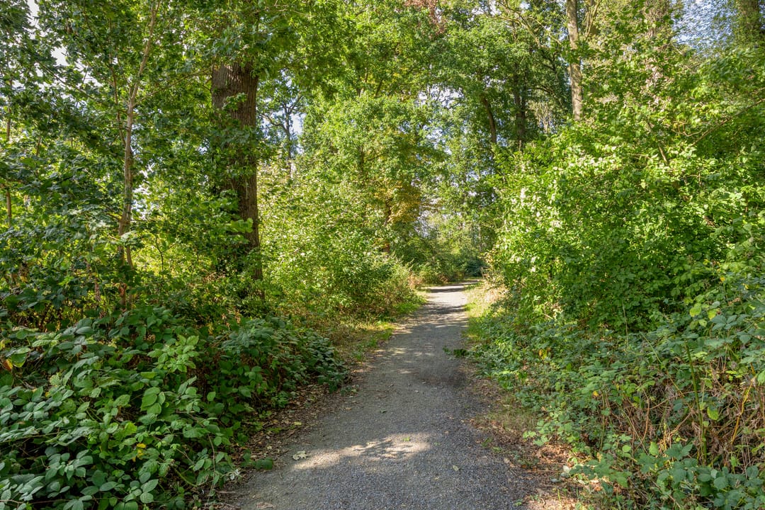 Foto 37 van Steringa Kuiper-weg 22
