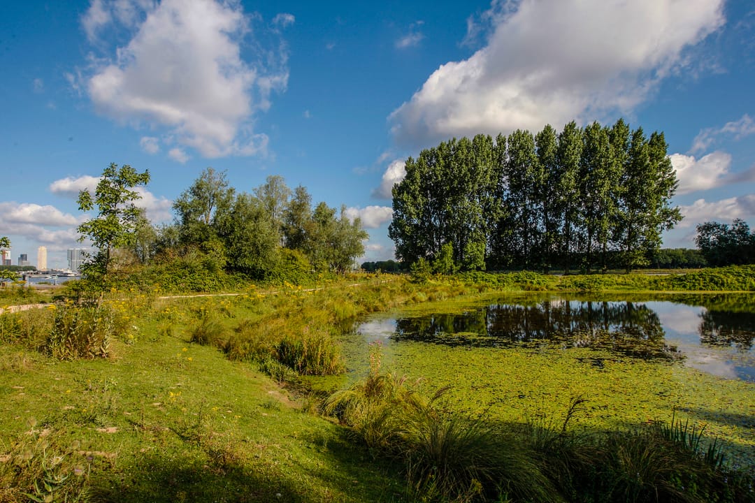 Photo 31 of Piet Smitkade 266