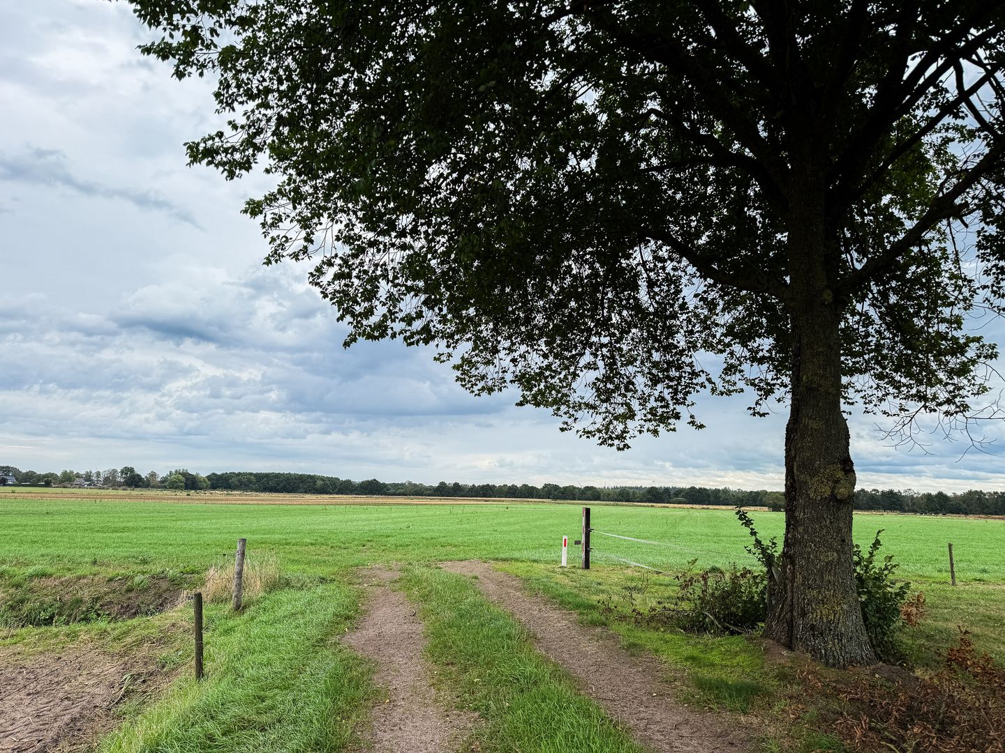 Klein Zundertseweg - Sprundel - Afbeelding 6