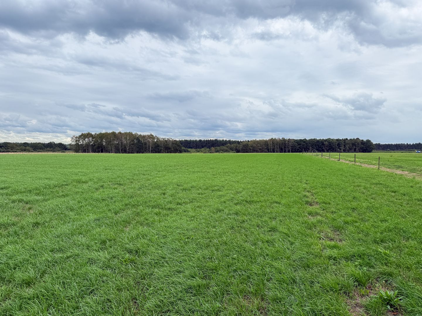 Klein Zundertseweg - Sprundel - Afbeelding 7