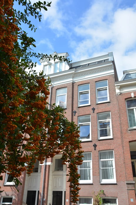Tweede Jan van der Heijdenstraat thumbnail