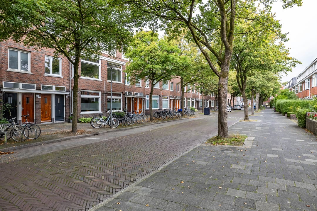 Foto 47 van Professor Rankestraat 20