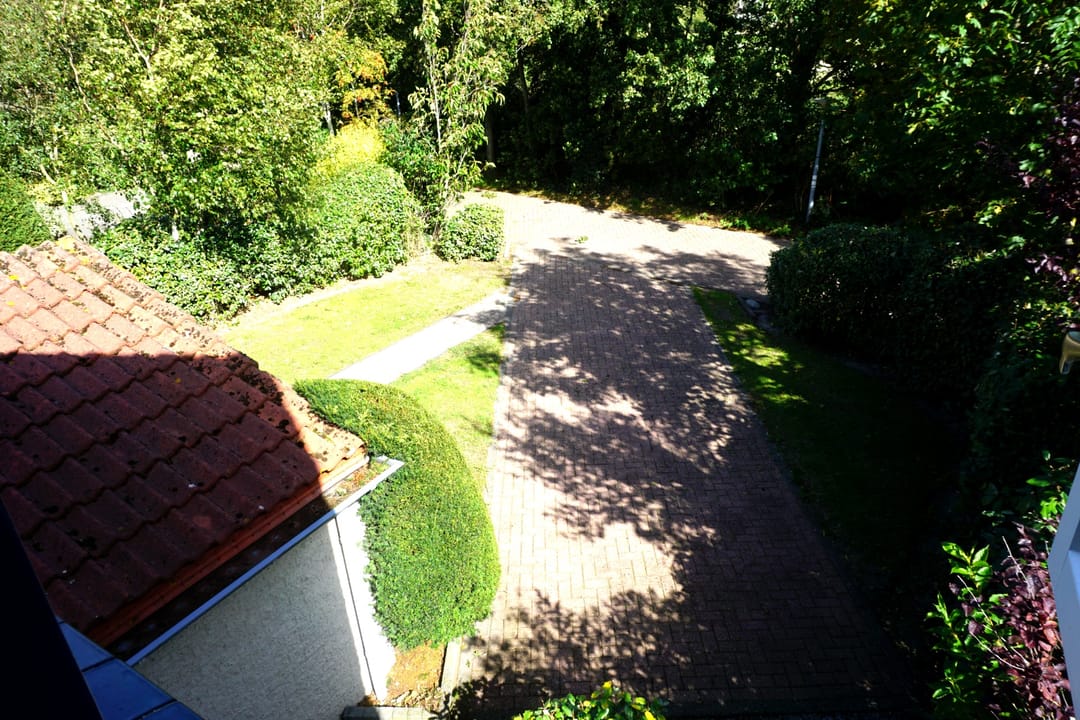 Foto 38 van Ooghduyne 49-C