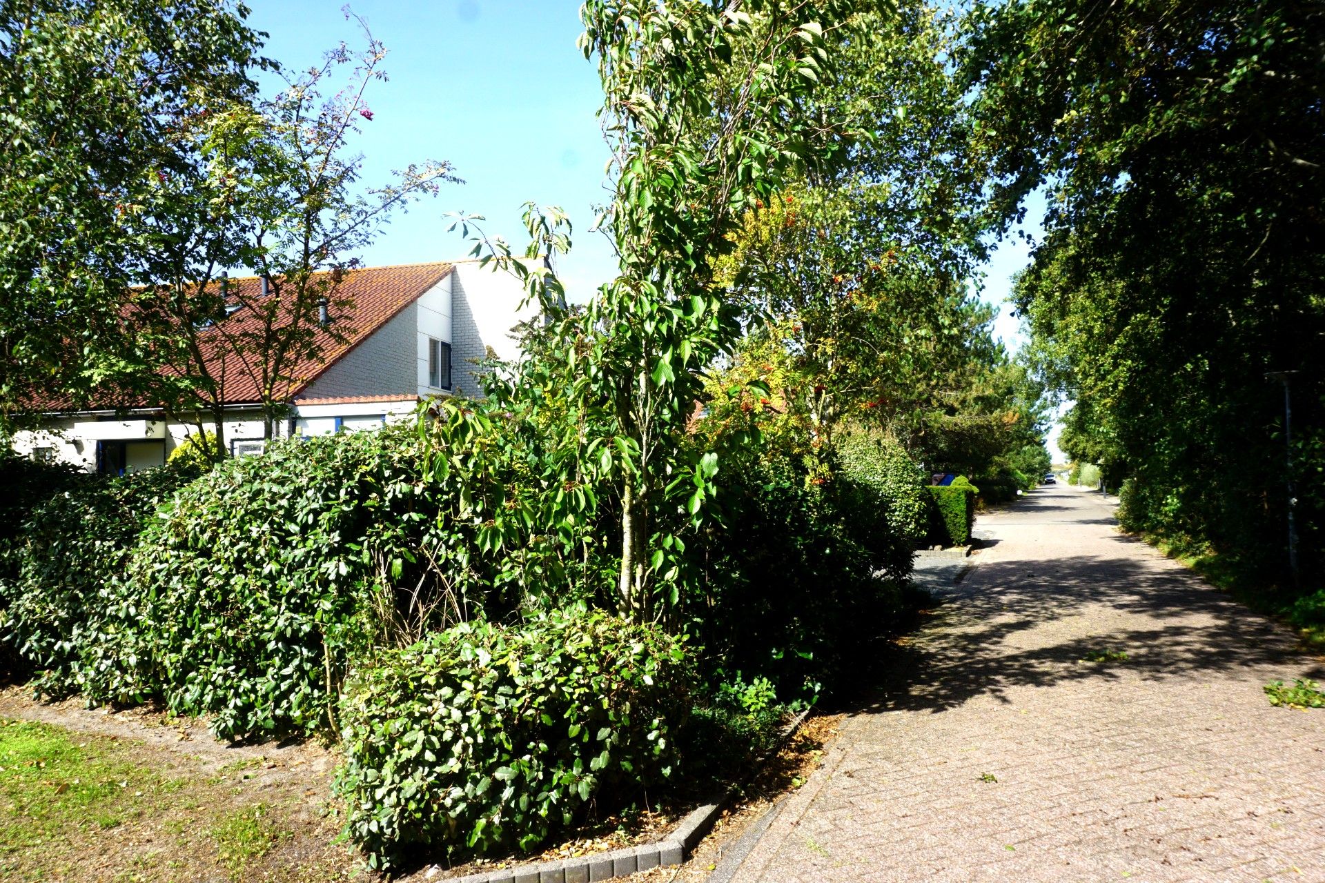 Foto 45 van Ooghduyne 49-C