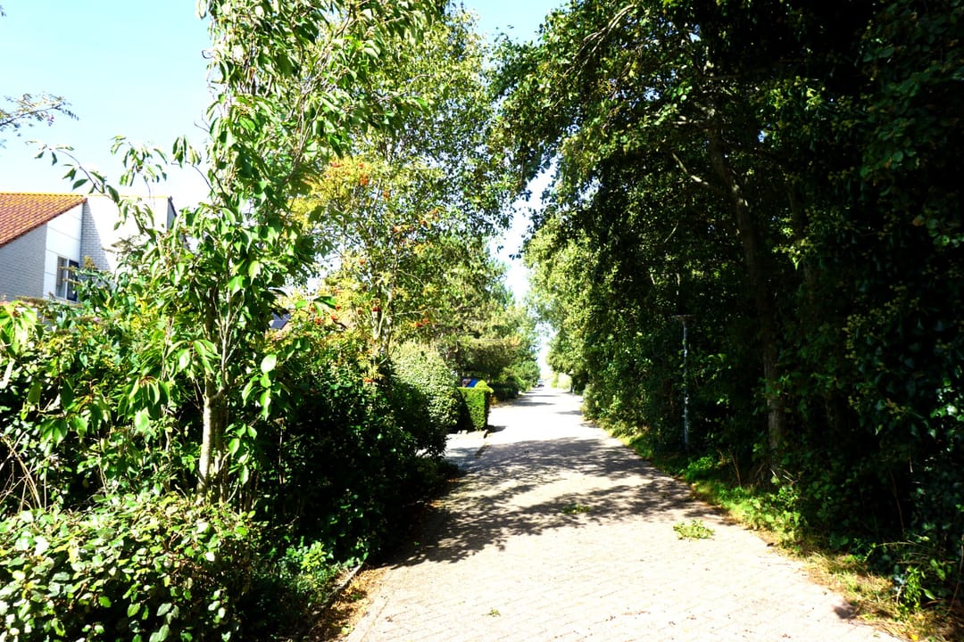 Foto 43 van Ooghduyne 49-C