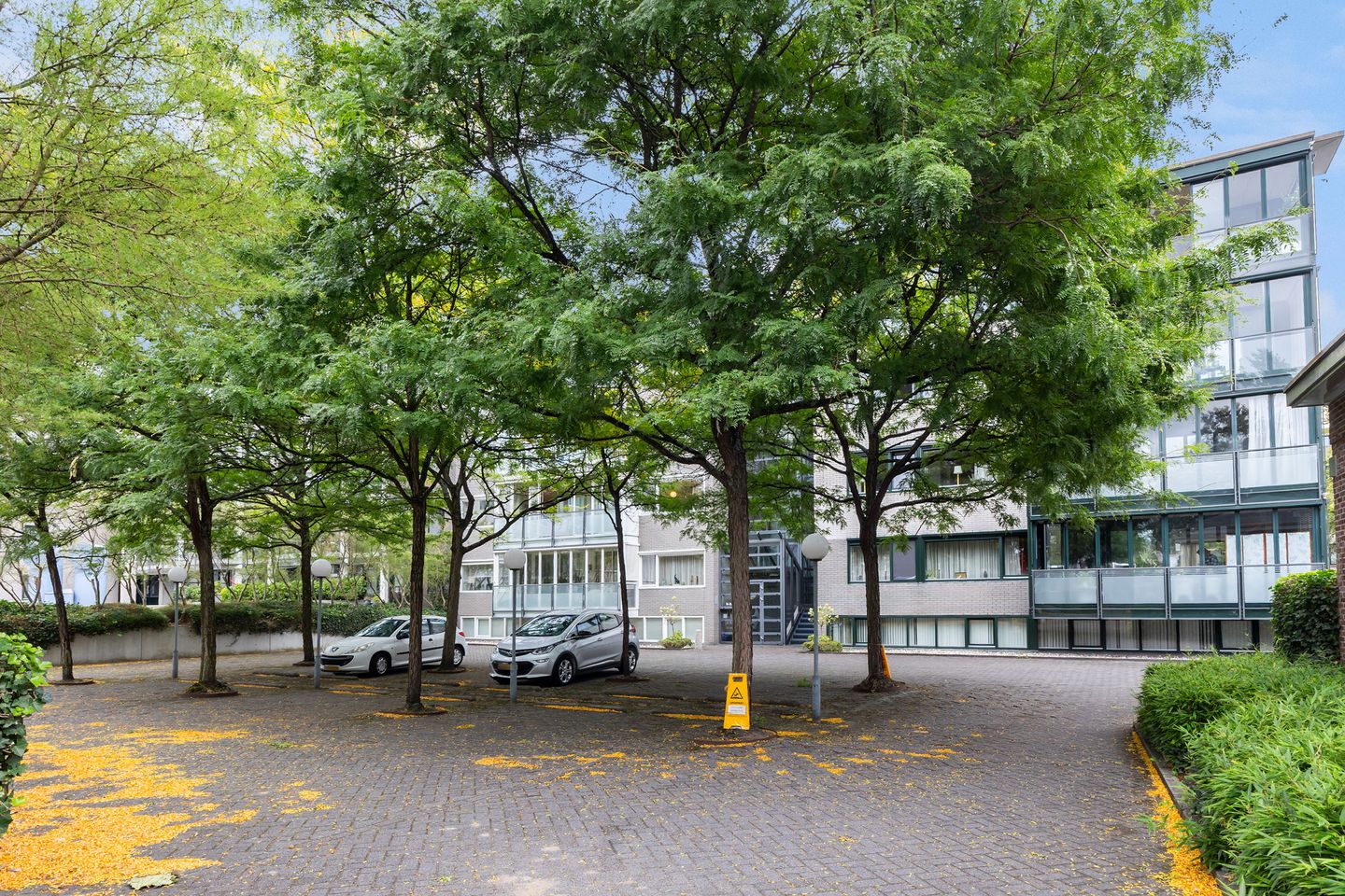 Foto 40 van Amphion 20