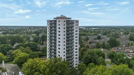 Korianderstraat thumbnail