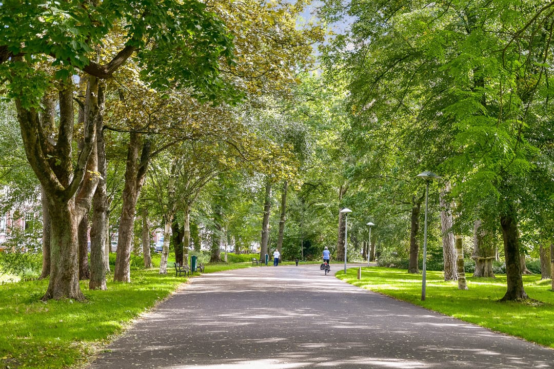 Foto 47 van Oudwijk 11