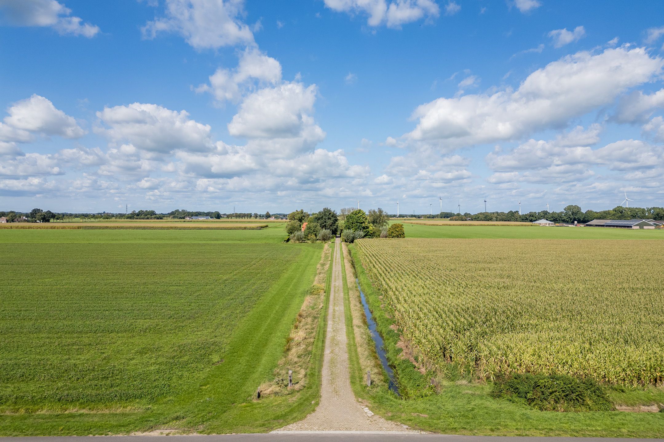 Photo 87 of De Hooislagen 4