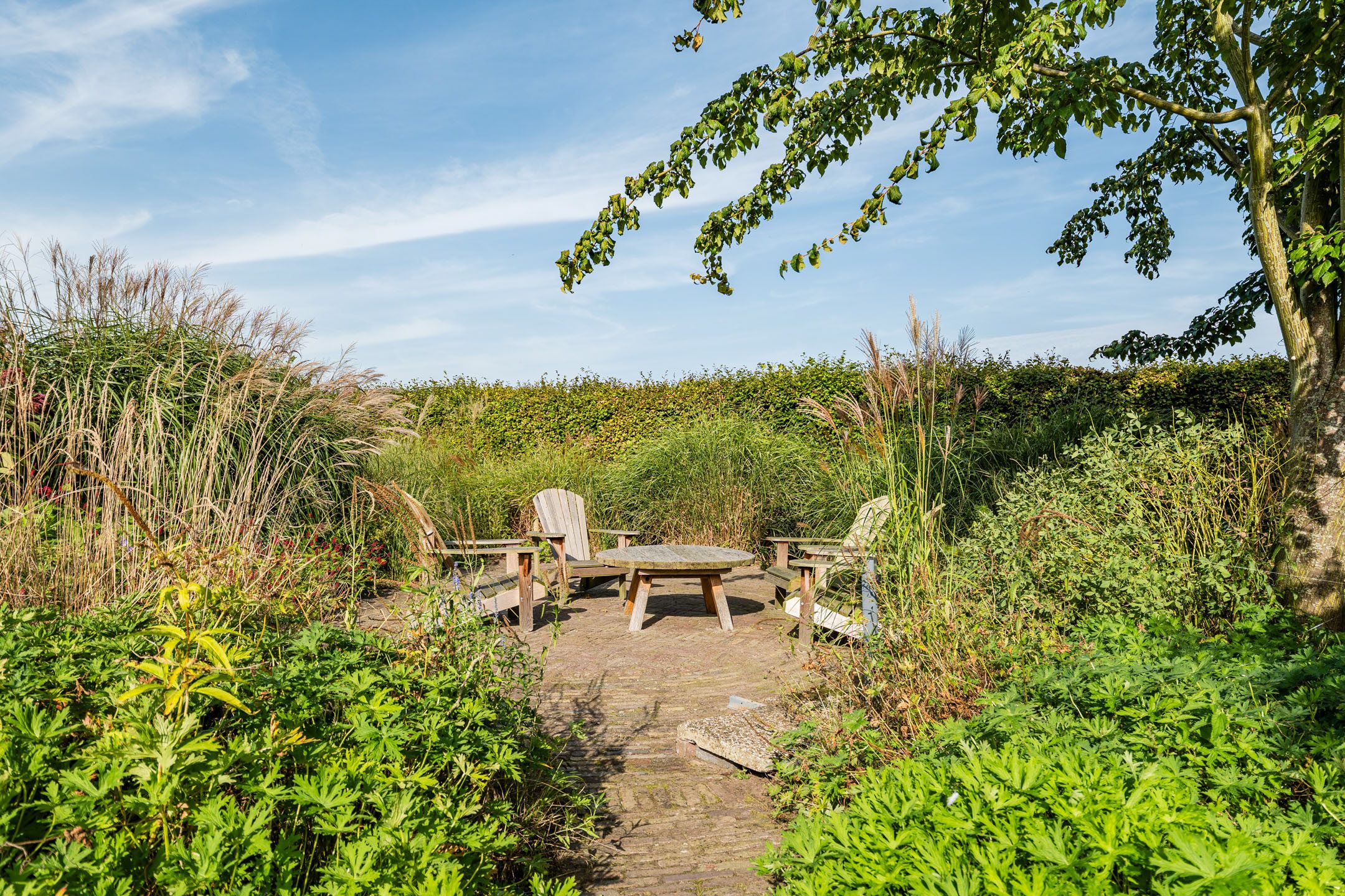 Photo 60 of De Hooislagen 4