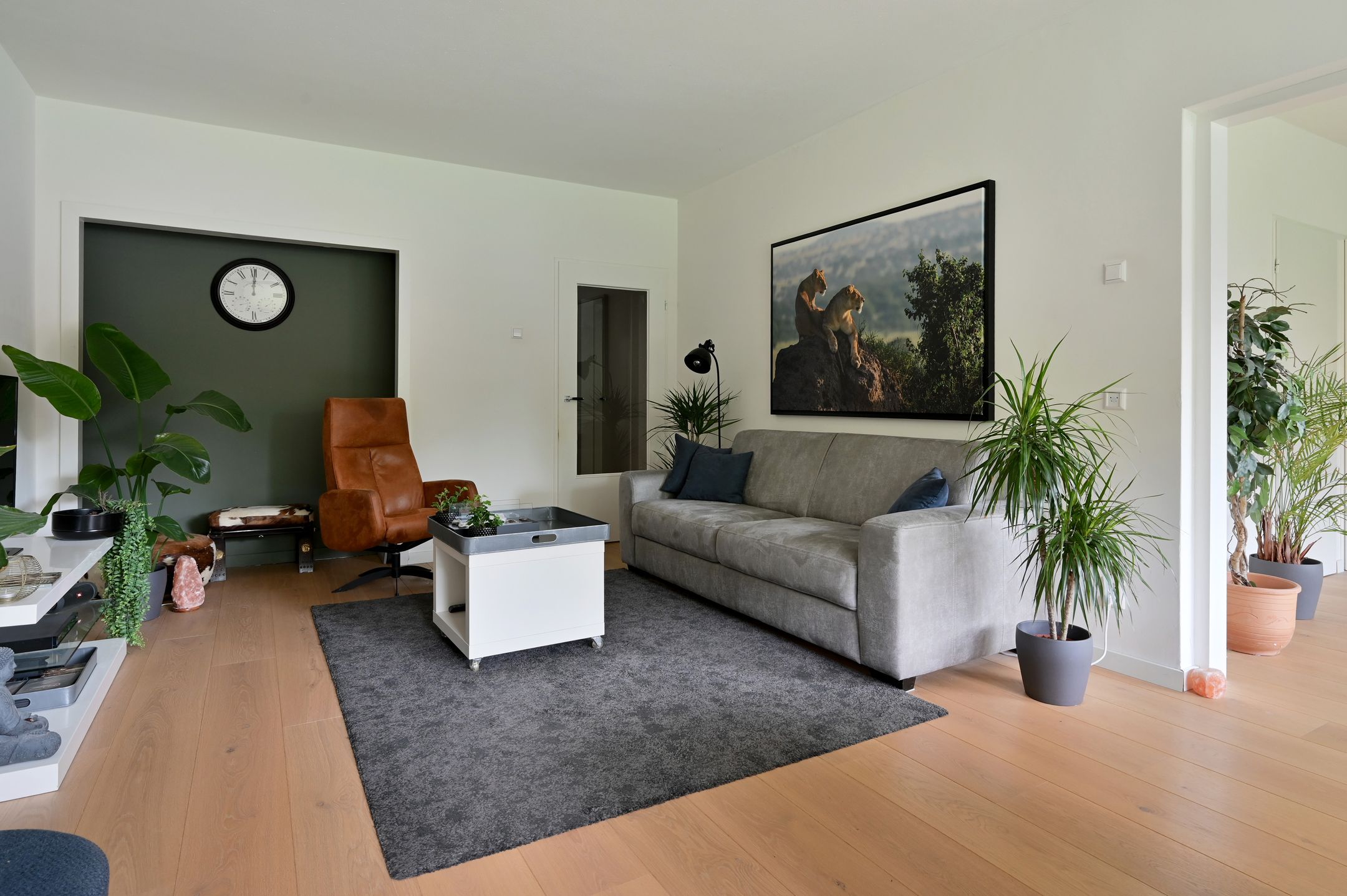Photo 9 of Bolestein 738