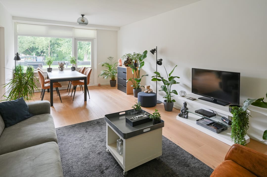 Photo 8 of Bolestein 738