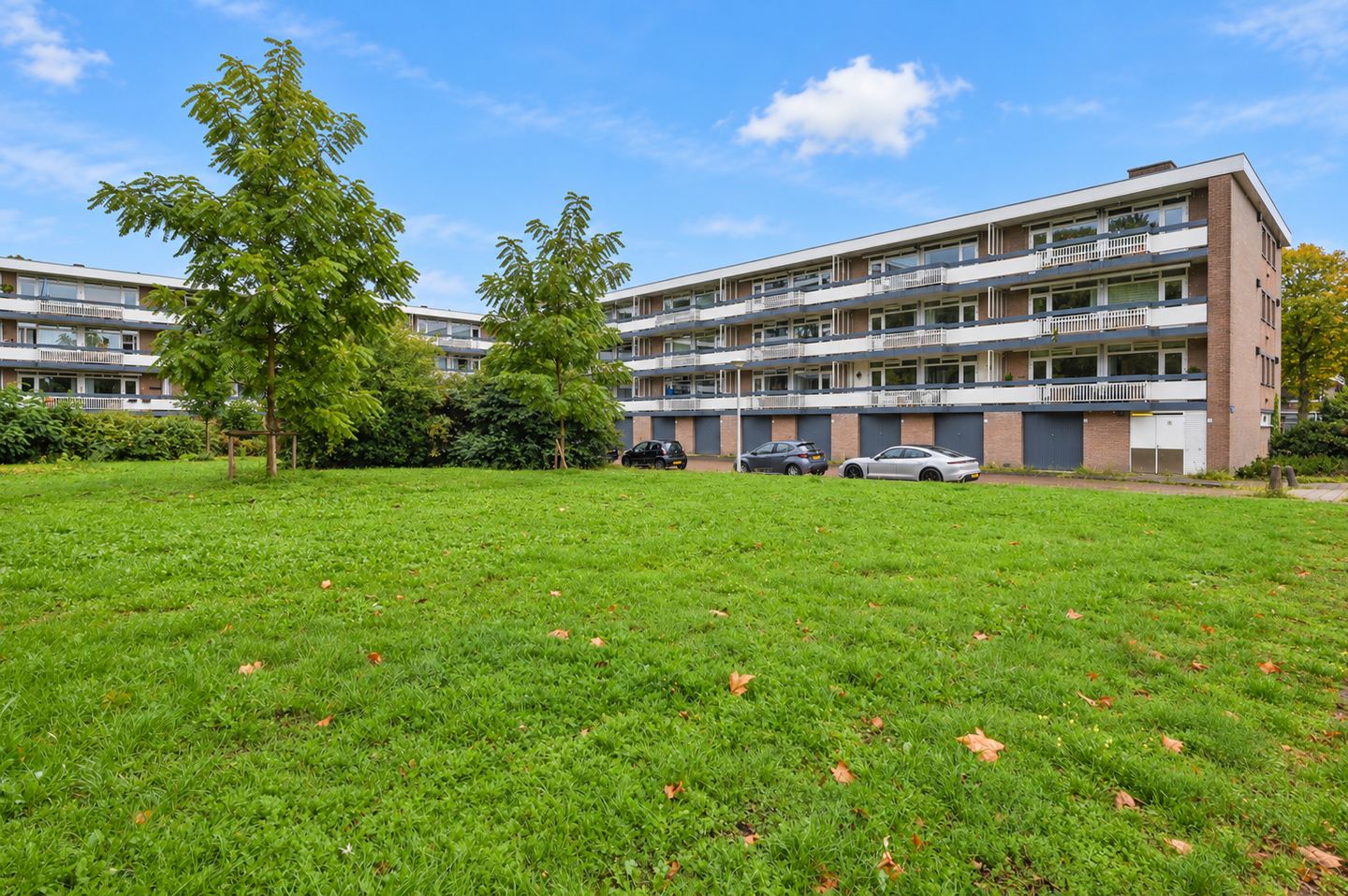 Photo 14 of Bolestein 738