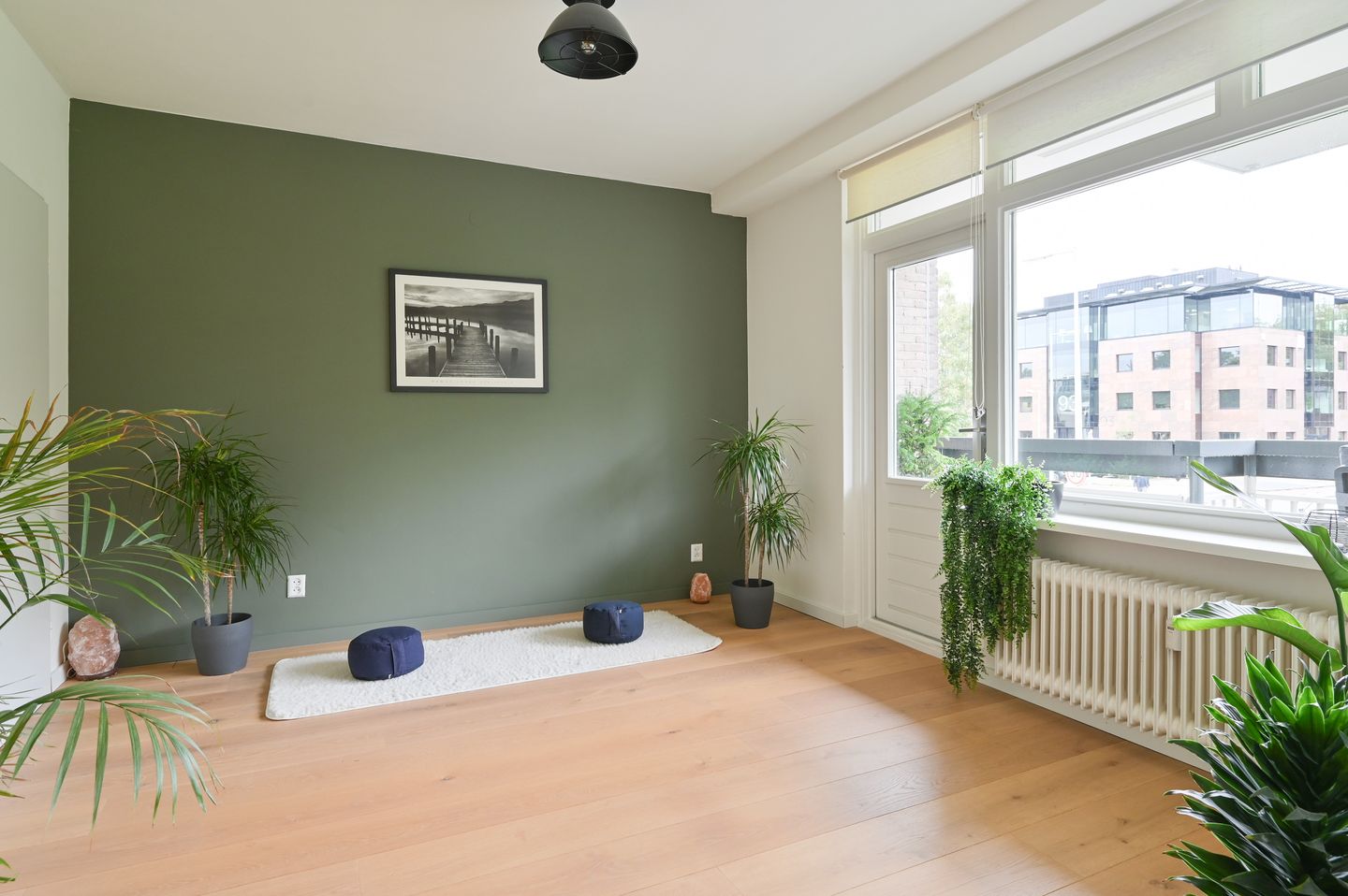 Photo 10 of Bolestein 738