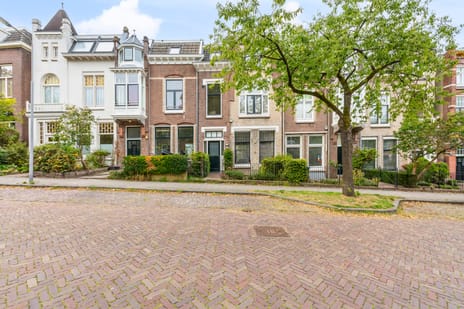 Van Pallandtstraat thumbnail