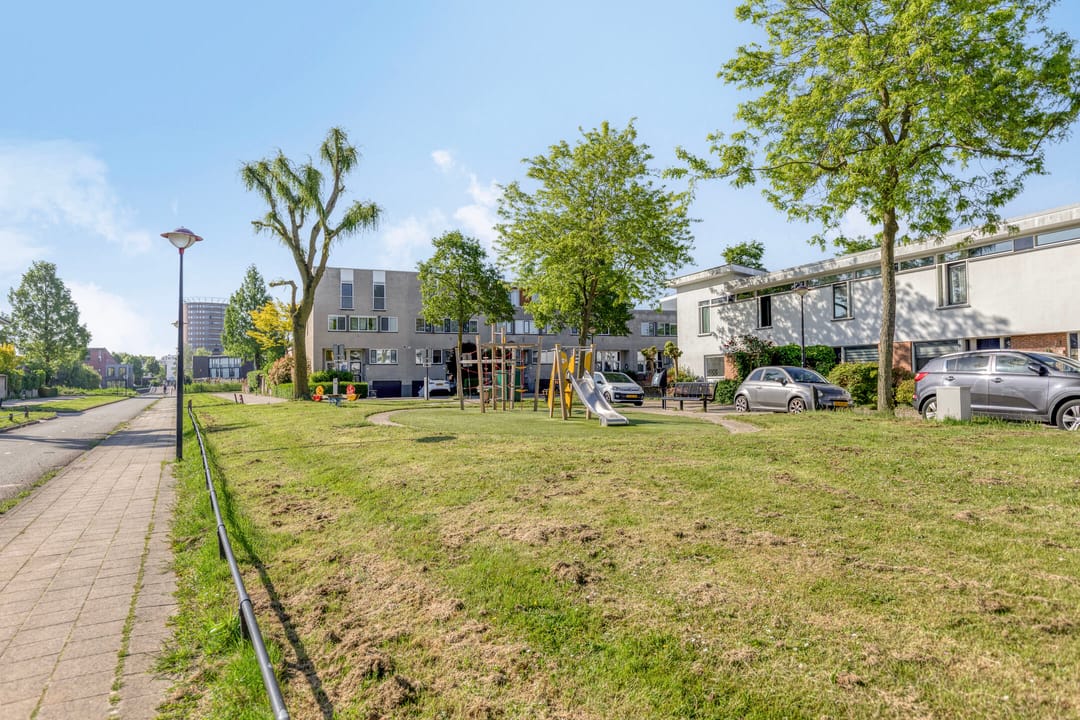 Foto 47 van Waterschorpioen 26