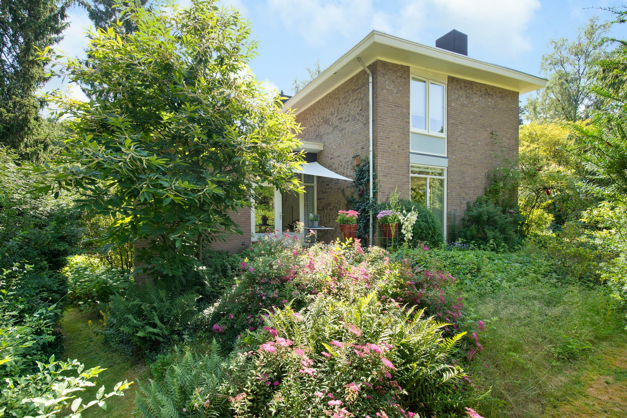Photo 51 of Beelaertslaan 47