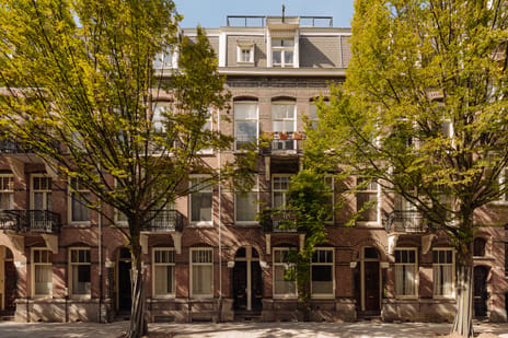 Nicolaas Maesstraat thumbnail