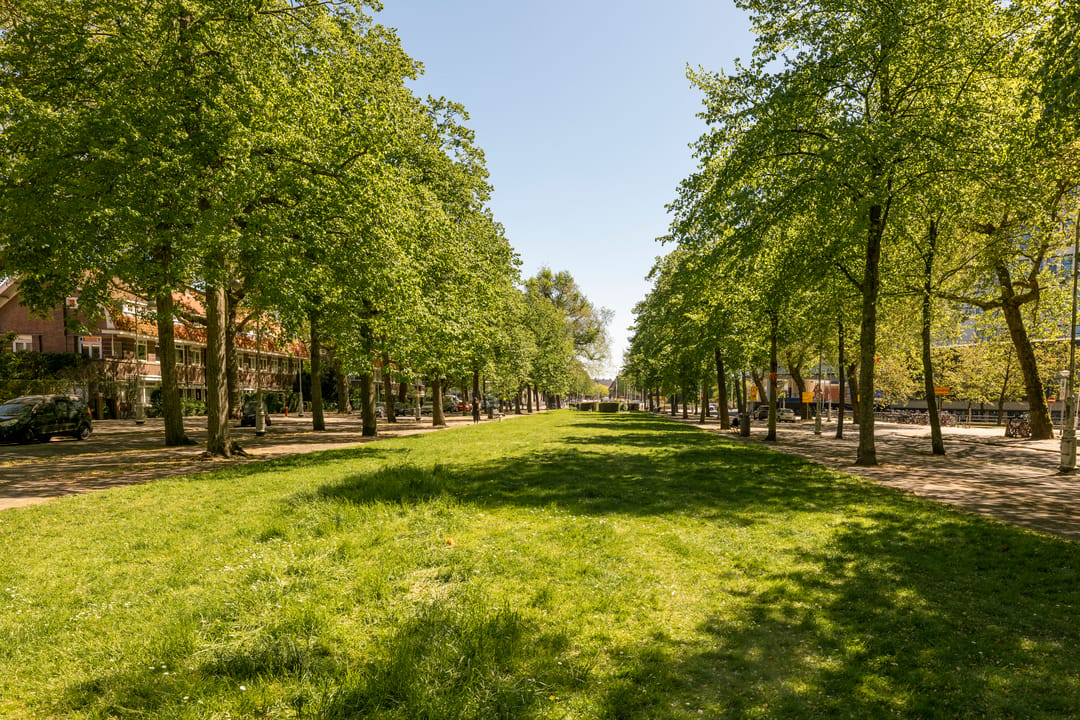 Photo 31 of Apollolaan 43-1