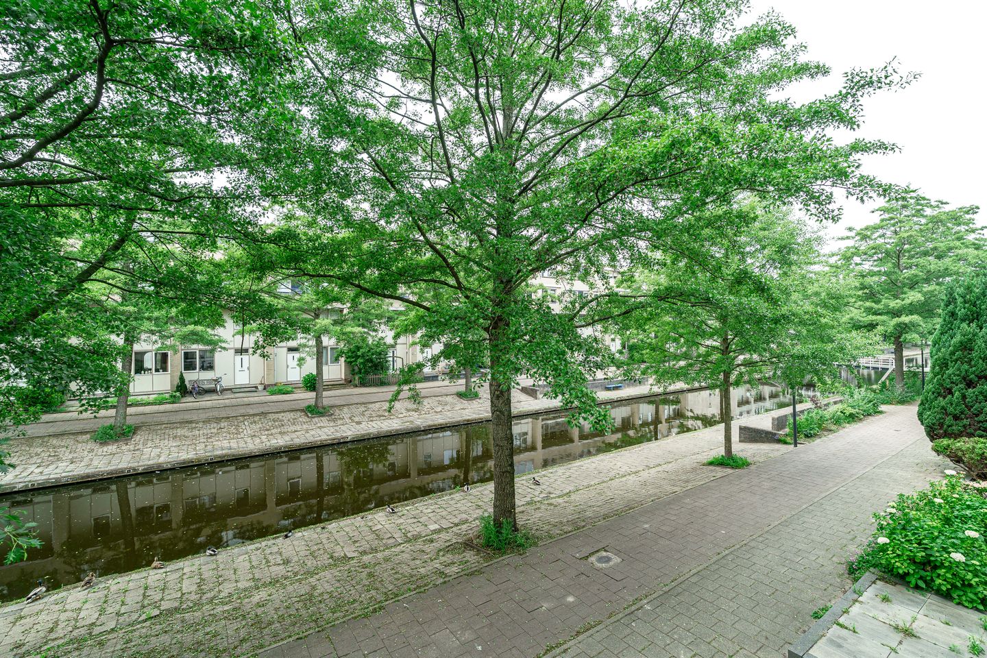 Photo 5 of Charta 77-Vaart 99