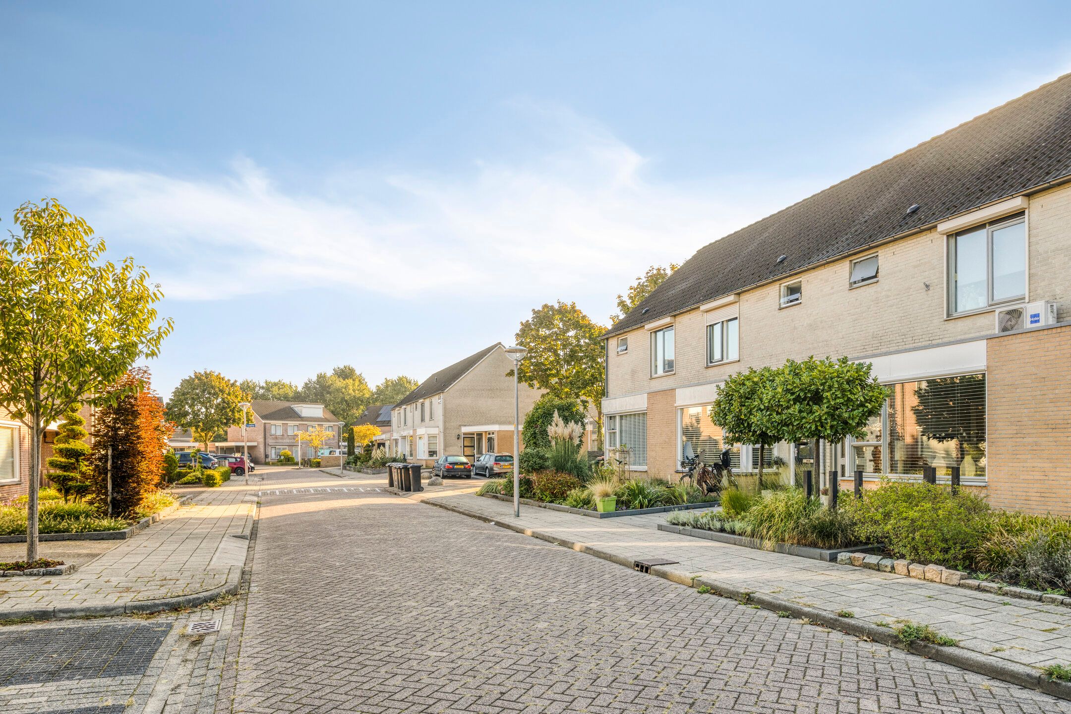 Photo 15 of Korenbloem 4