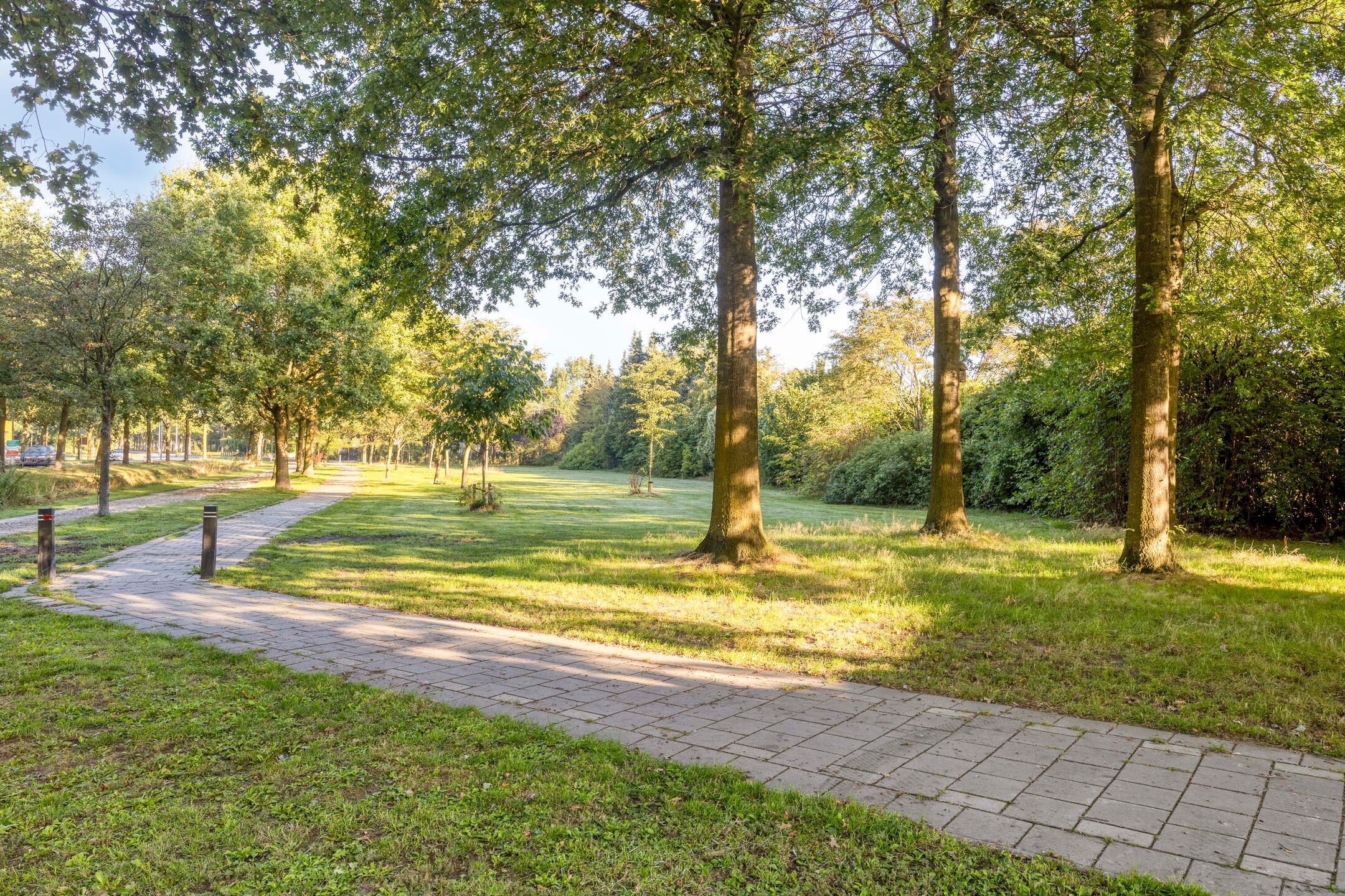 Photo 48 of Korenbloem 4