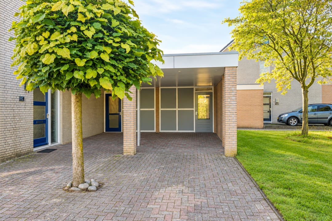 Photo 16 of Korenbloem 4