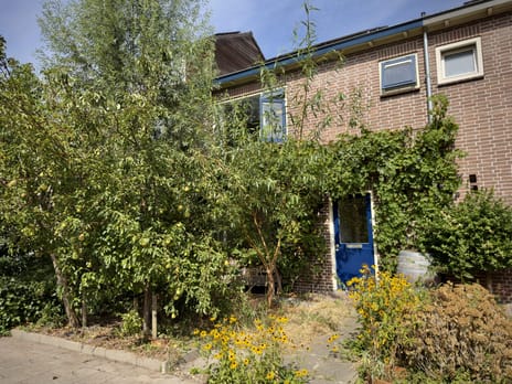 Adriaan van Ostadestraat thumbnail