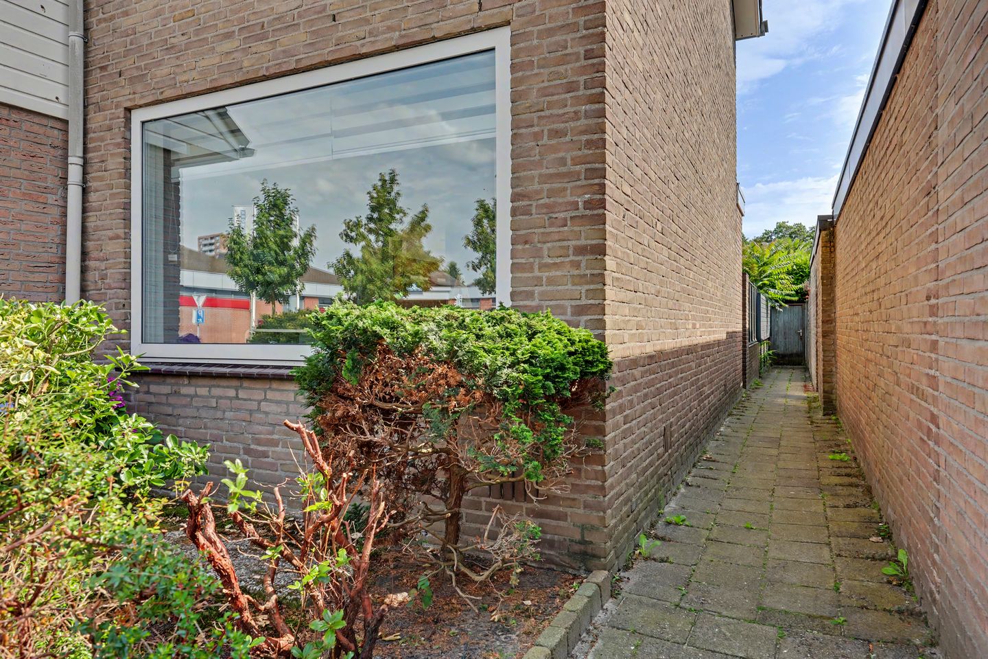 Foto 5 van Rijnstraat 63